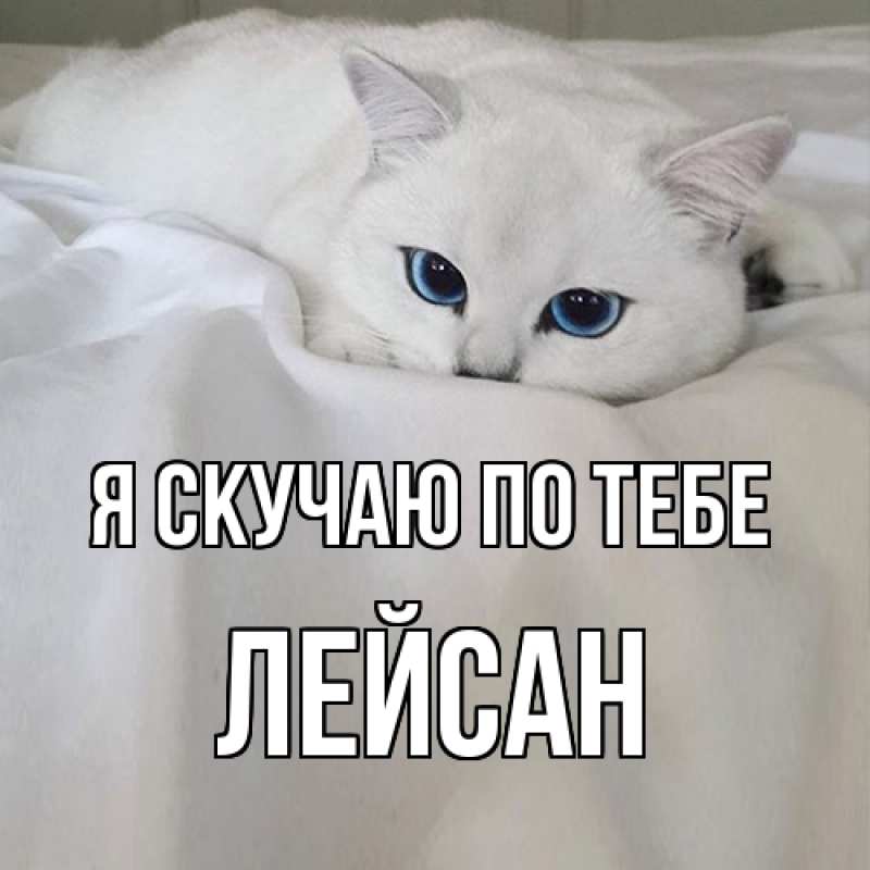 Картинка Я скучаю по тебе, Лейсан