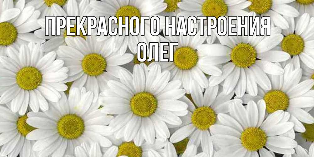 Открытка  с именем. Олег, Прекрасного настроения  