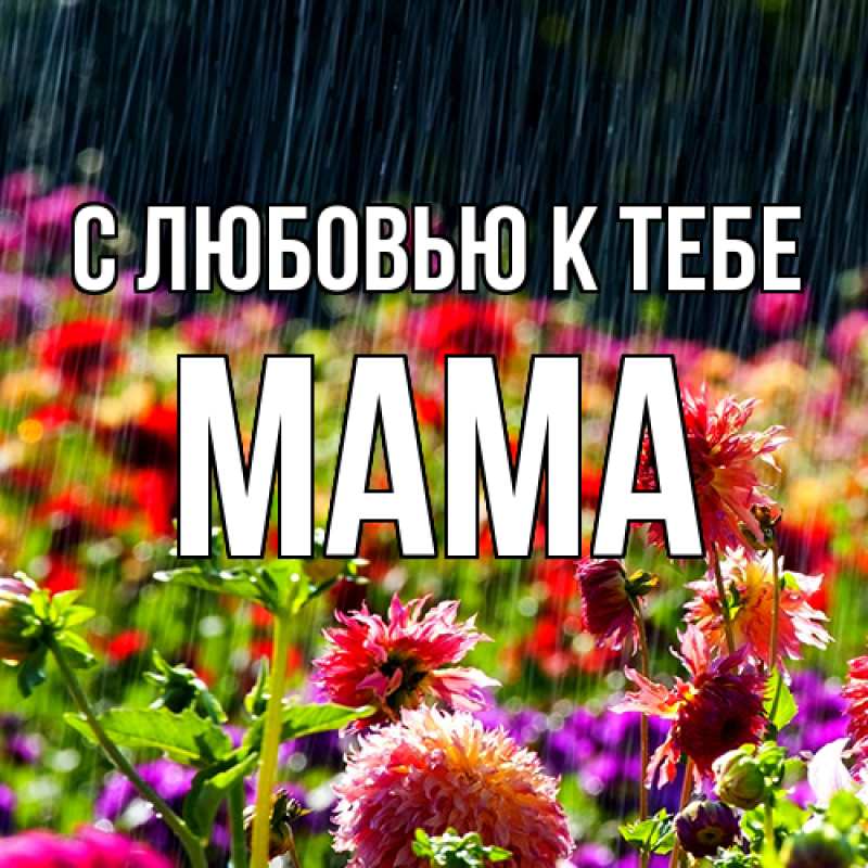 Картинка С любовью к тебе, Мама
