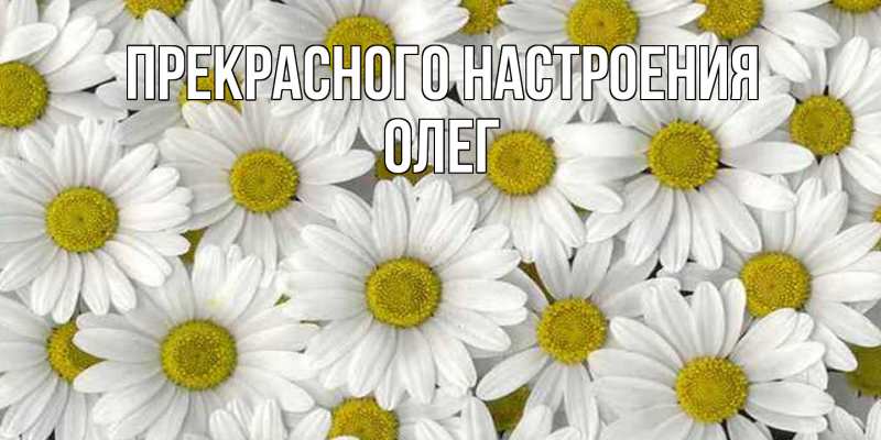 Картинка Прекрасного настроения, Олег