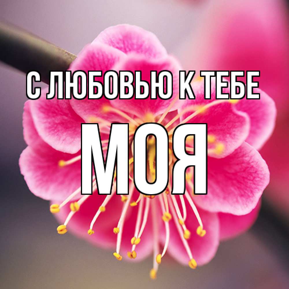 Открытка  с именем. Моя, С любовью к тебе  