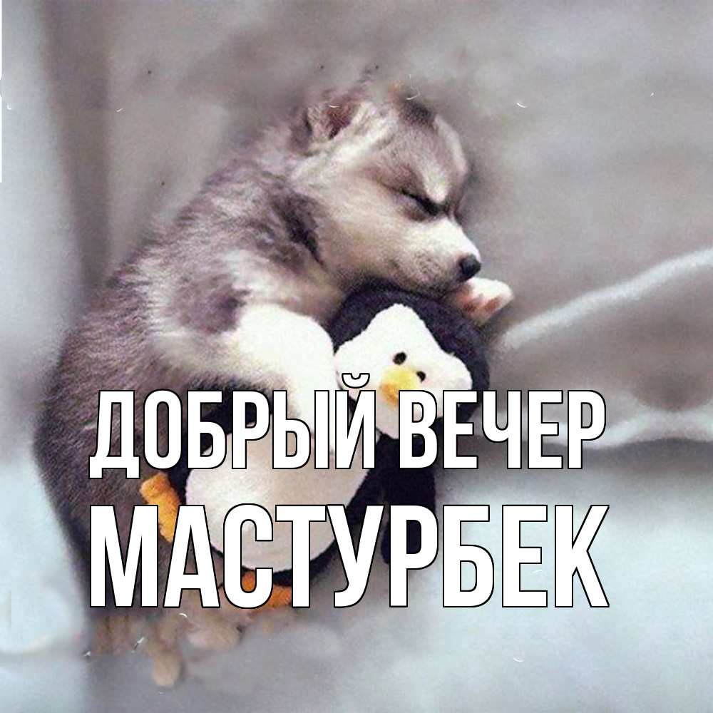 Открытка  с именем. Мастурбек, Добрый вечер  