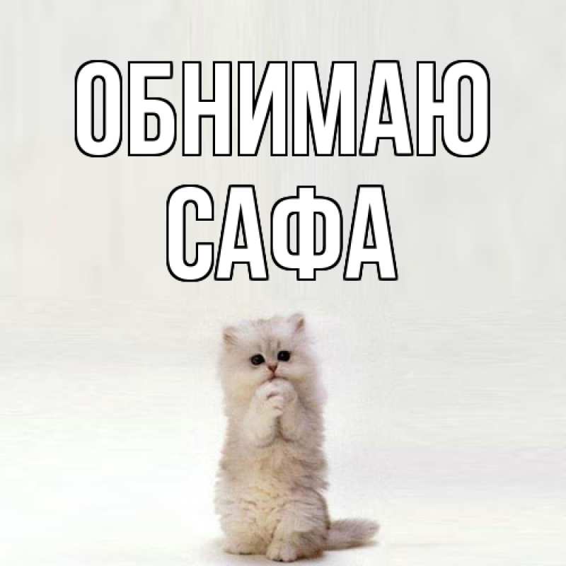 Картинка Обнимаю, Сафа