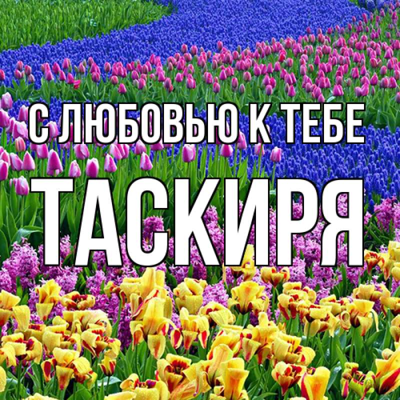 Картинка С любовью к тебе, Таскиря