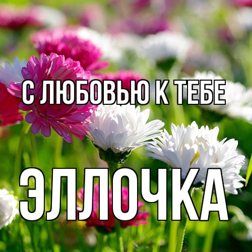Открытка  с именем. Эллочка, С любовью к тебе  