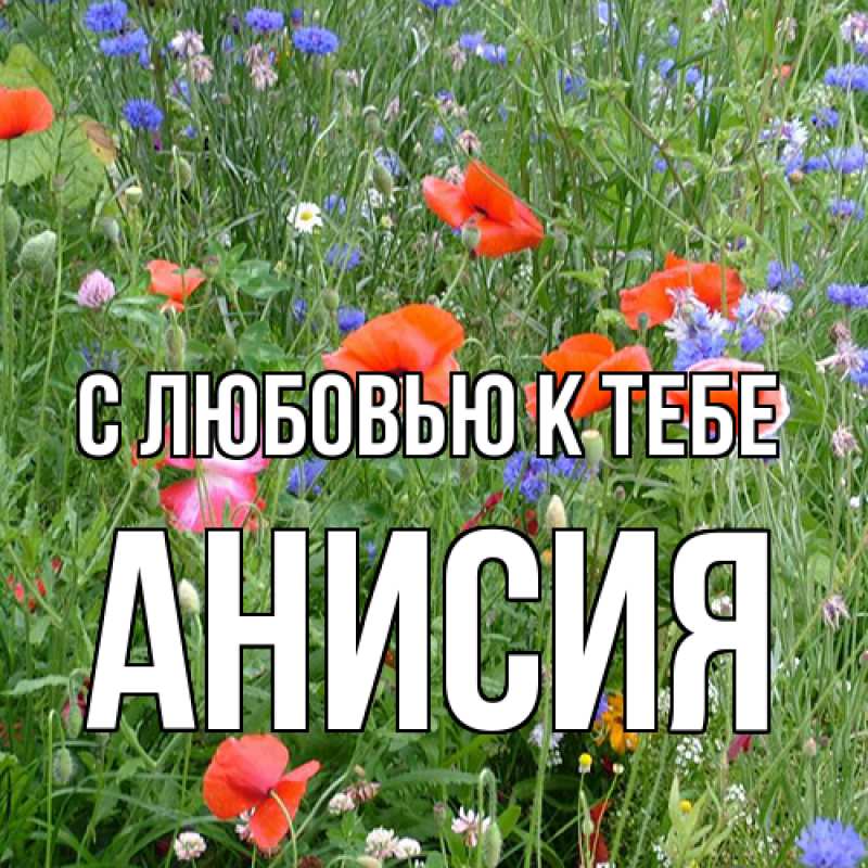 Картинка С любовью к тебе, Анисия