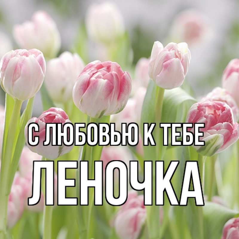Картинка С любовью к тебе, ЛЕНОЧКА
