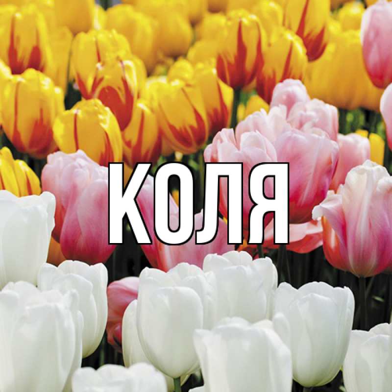 Картинка  с именем , коля