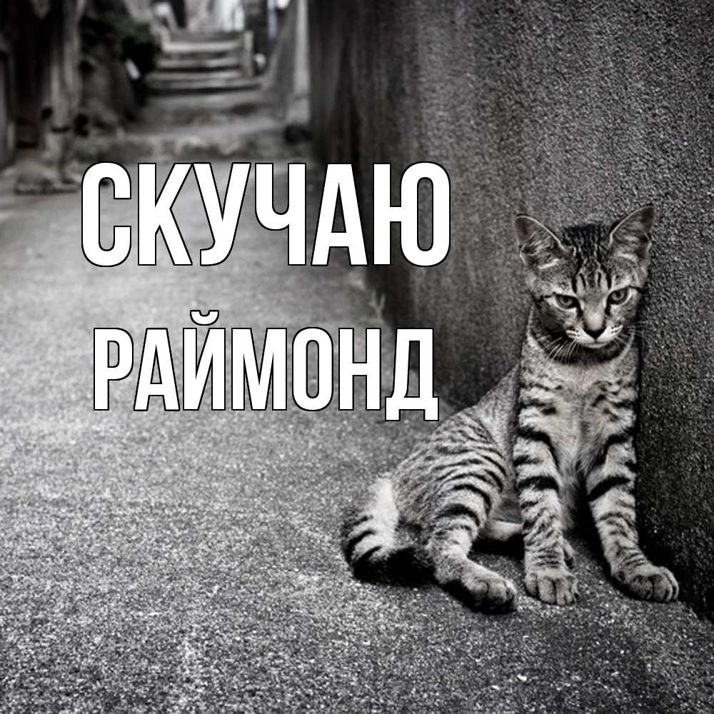 Открытка  с именем. Раймонд, Скучаю  