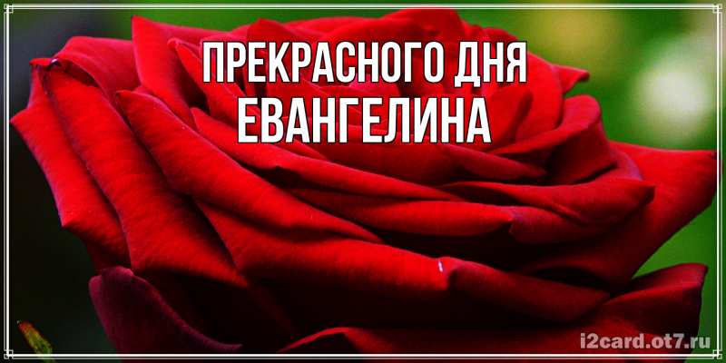 Картинка Прекрасного дня, Евангелина