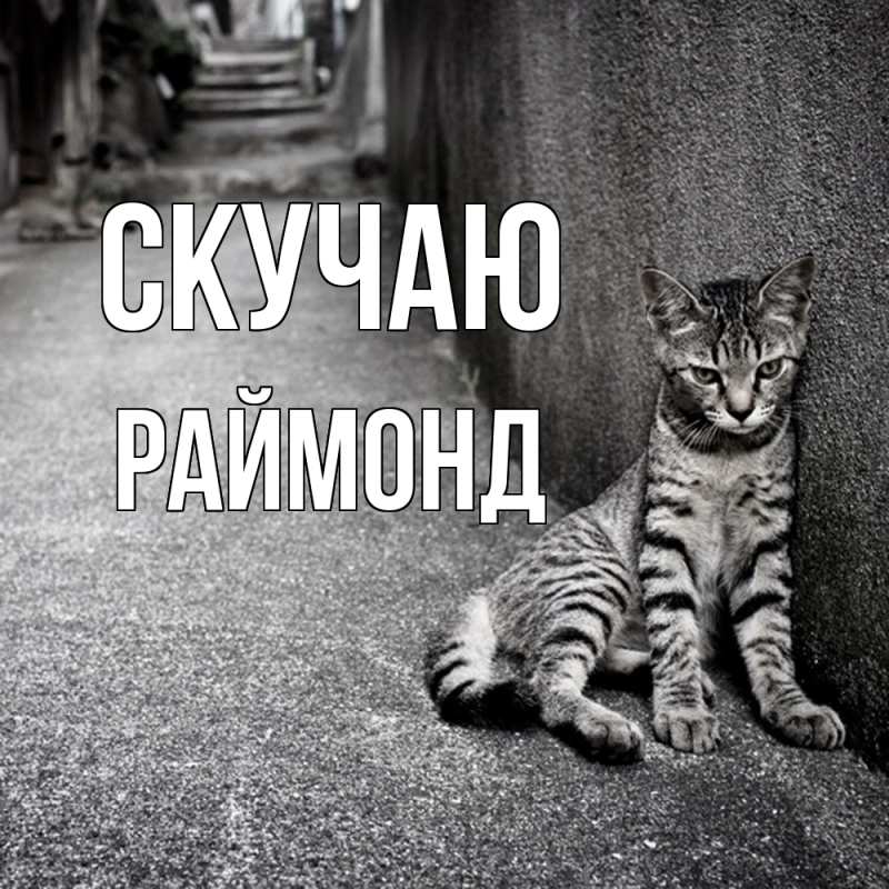 Картинка Скучаю, Раймонд