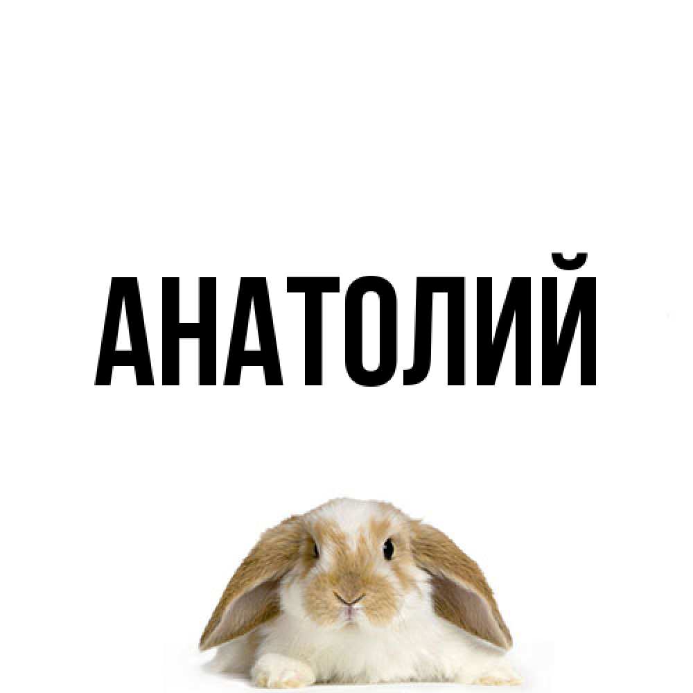 Открытка  с именем. Анатолий, Главная  