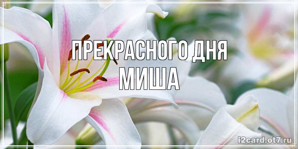 Открытка  с именем. Миша, Прекрасного дня  