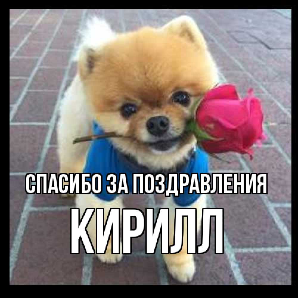 Открытка  с именем. кирилл, Спасибо за поздравления  