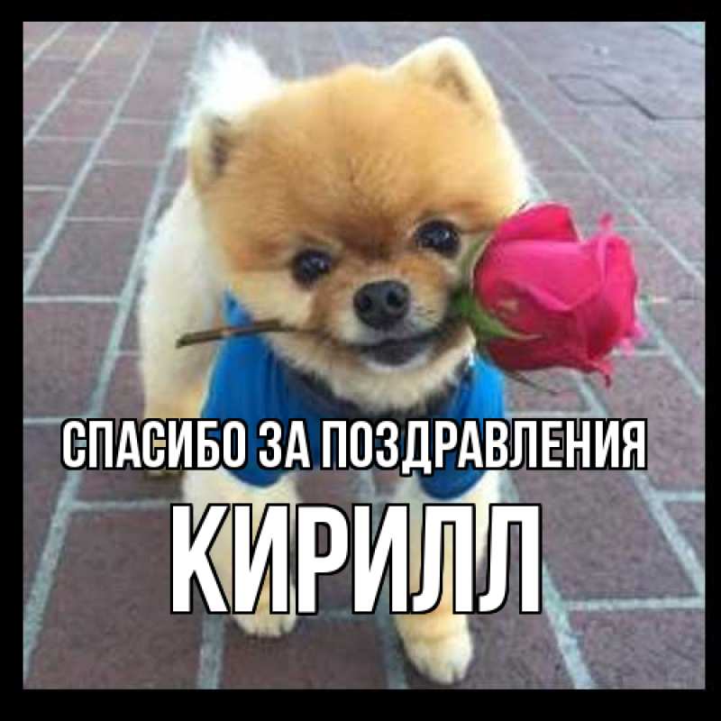 Картинка Спасибо за поздравления, кирилл