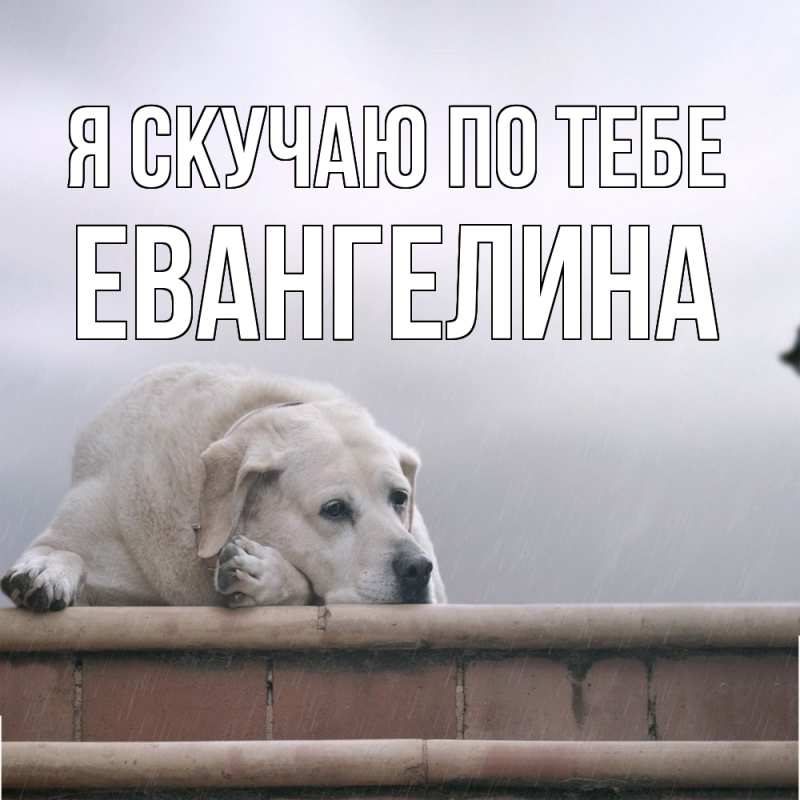 Картинка Я скучаю по тебе, Евангелина