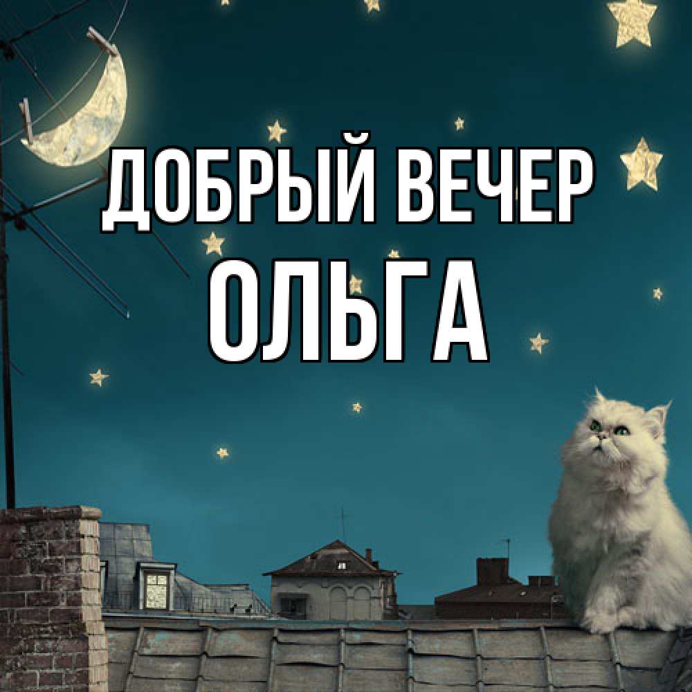 Открытка  с именем. Ольга, Добрый вечер  
