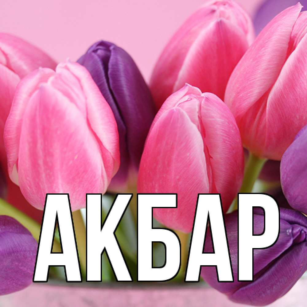 Открытка  с именем. Акбар, Главная  