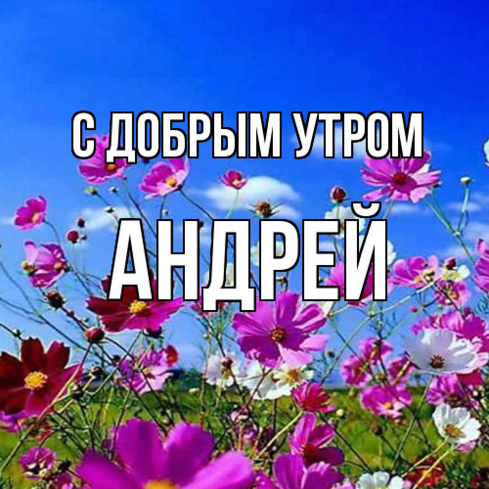 Открытка  с именем. Андрей, С добрым утром  
