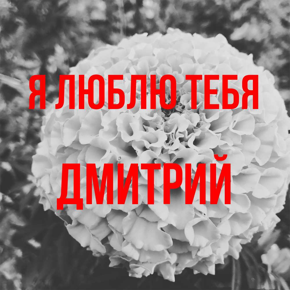 Открытка  с именем. дмитрий, Я люблю тебя  