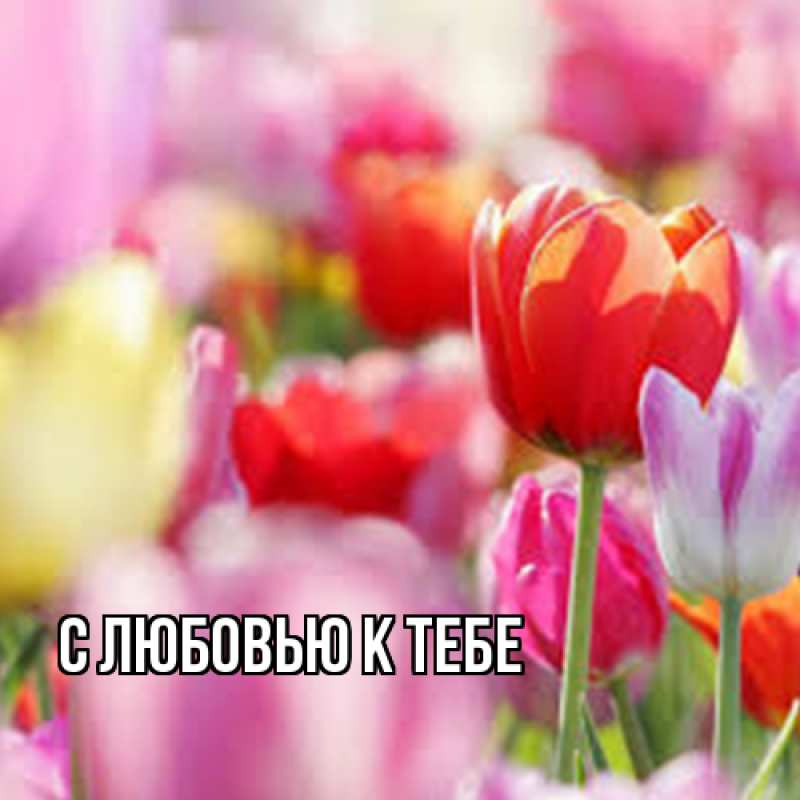 Картинка С любовью к тебе, 