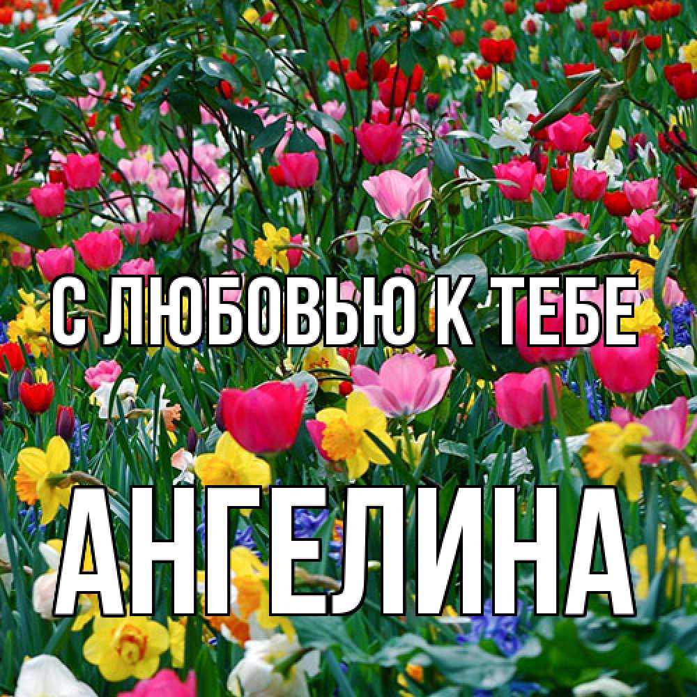 Открытка  с именем. Ангелина, С любовью к тебе  