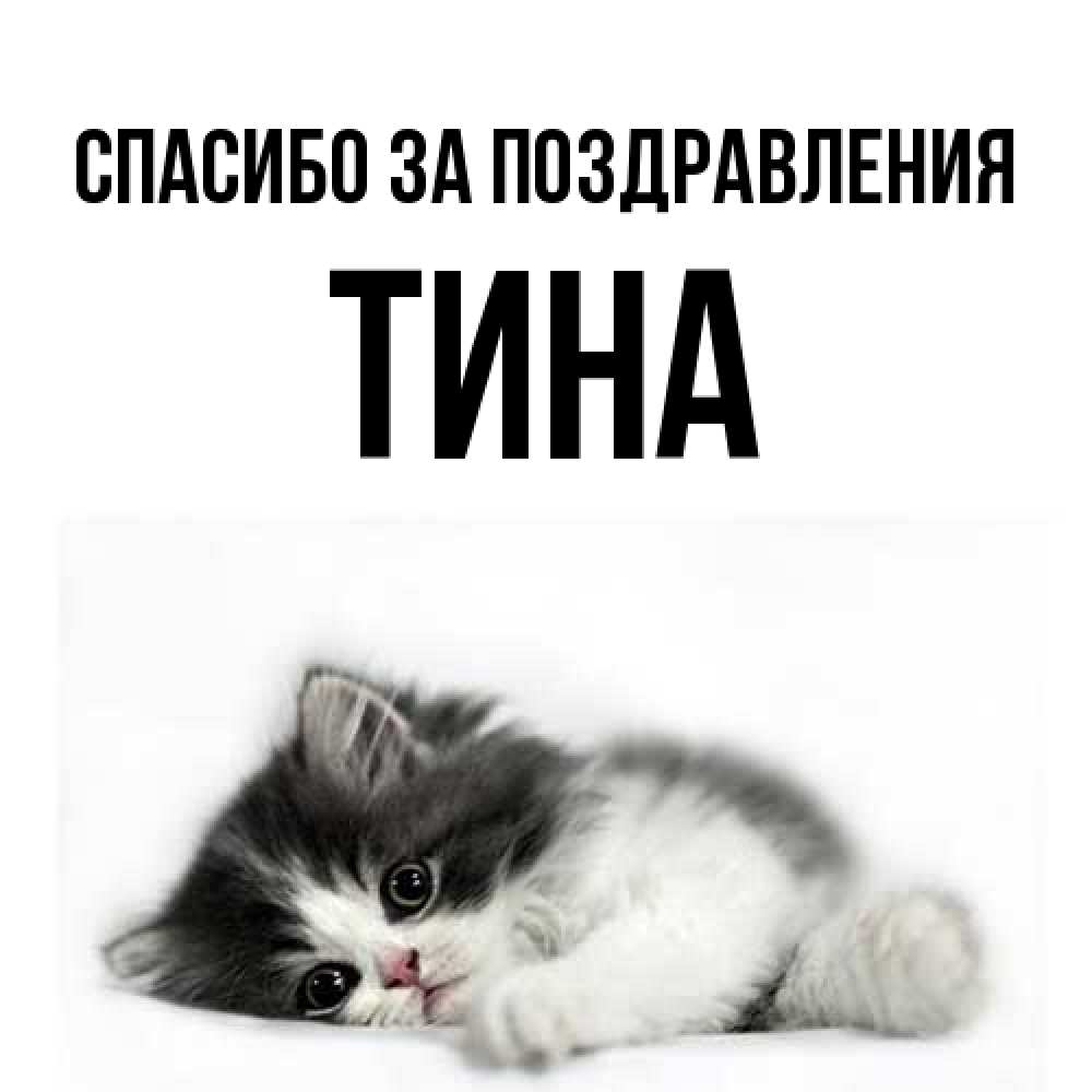 Открытка  с именем. Тина, Спасибо за поздравления  