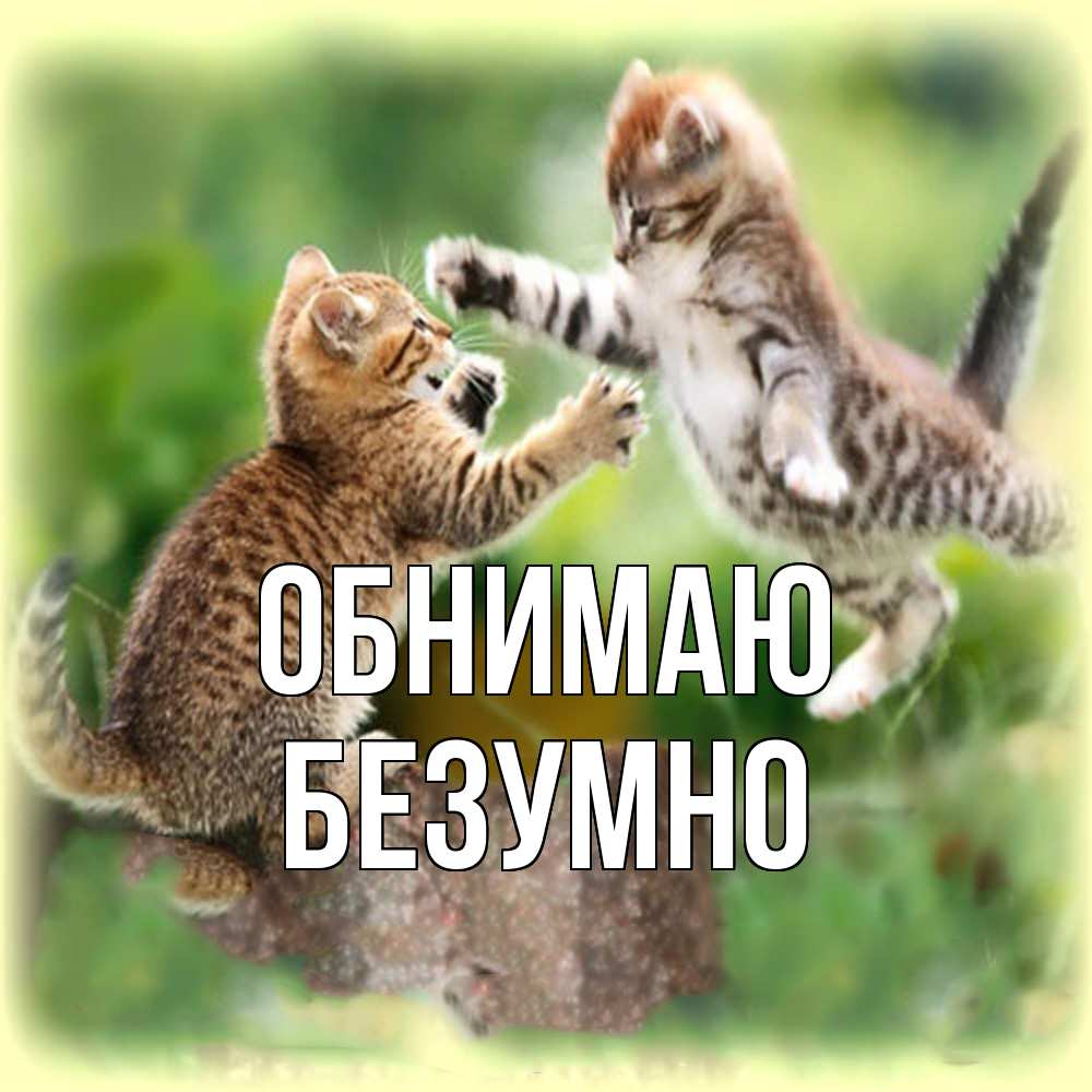 Открытка  с именем. безумно, Обнимаю  