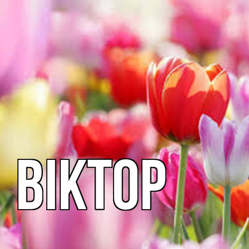 Открытка  с именем. Віктор, Главная  