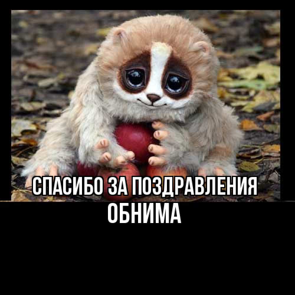 Открытка  с именем. Обнима, Спасибо за поздравления  