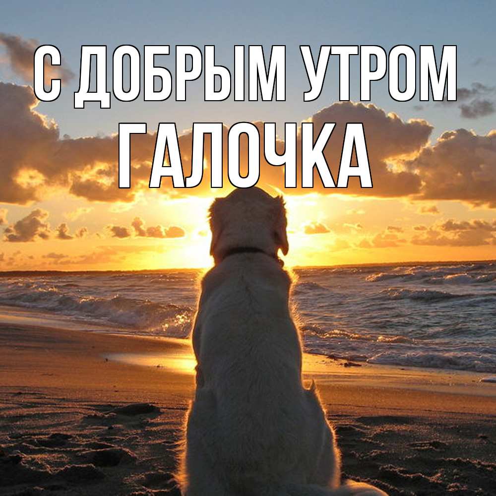 Открытка  с именем. Галочка, С добрым утром  