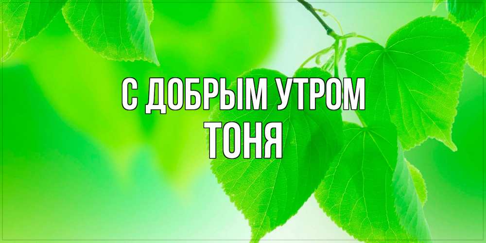 Открытка  с именем. Тоня, С добрым утром  