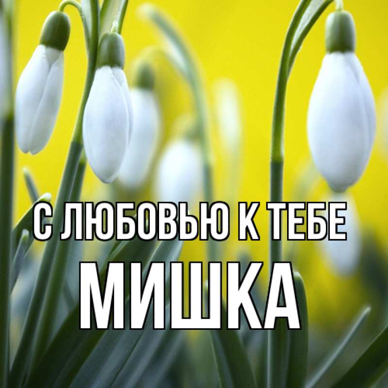 Картинка С любовью к тебе, Мишка