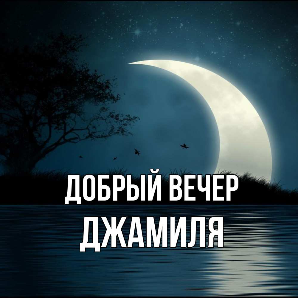 Открытка  с именем. Джамиля, Добрый вечер  