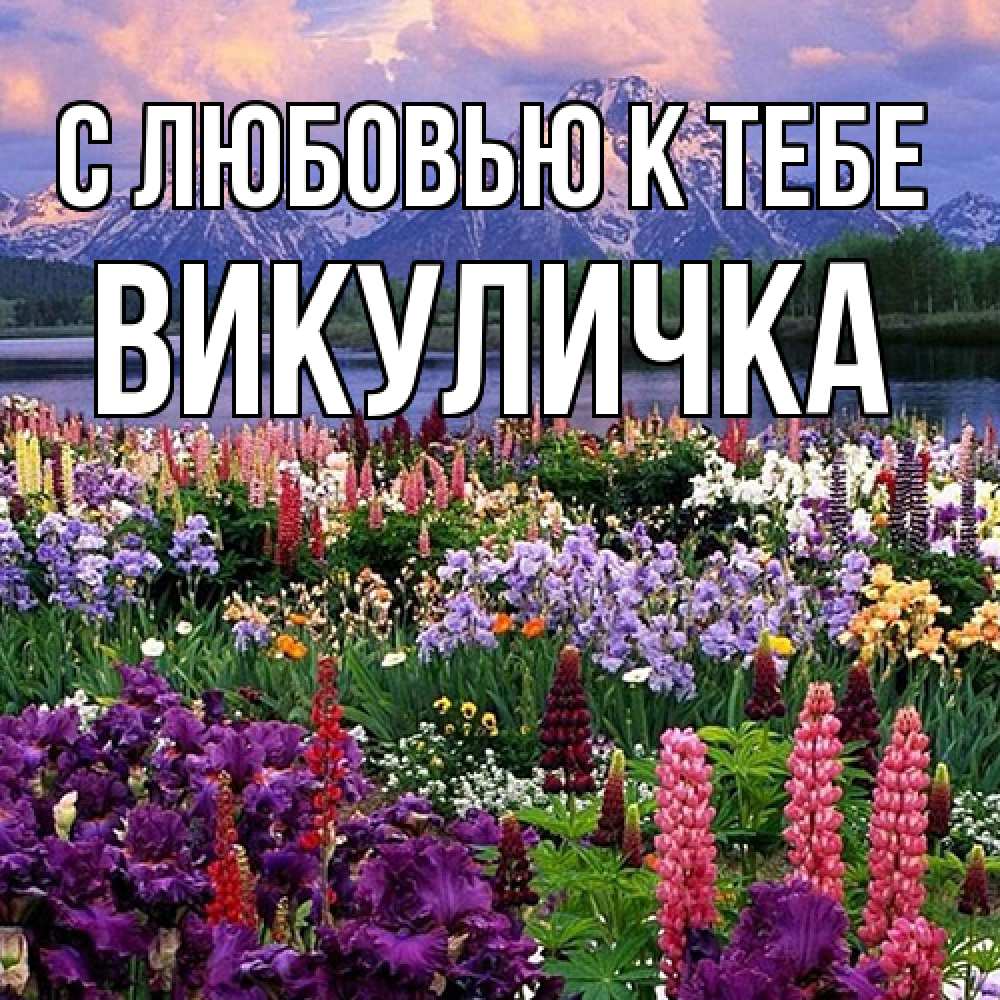 Открытка  с именем. Викуличка, С любовью к тебе  