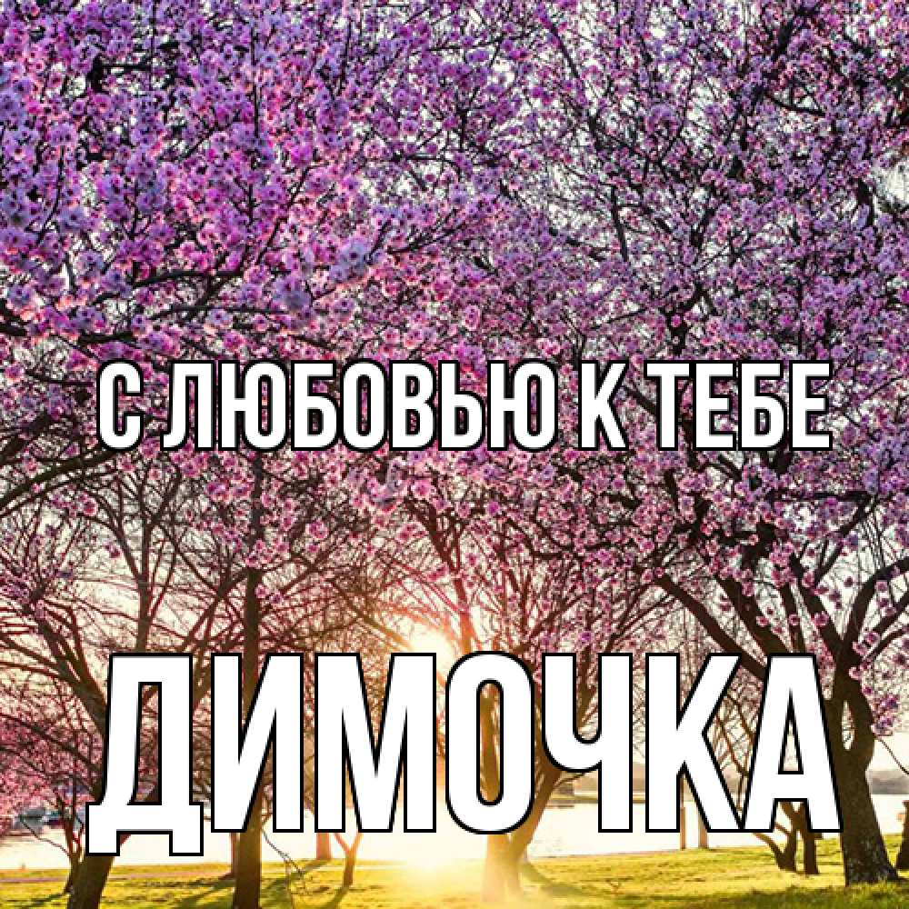 Открытка  с именем. Димочка, С любовью к тебе  