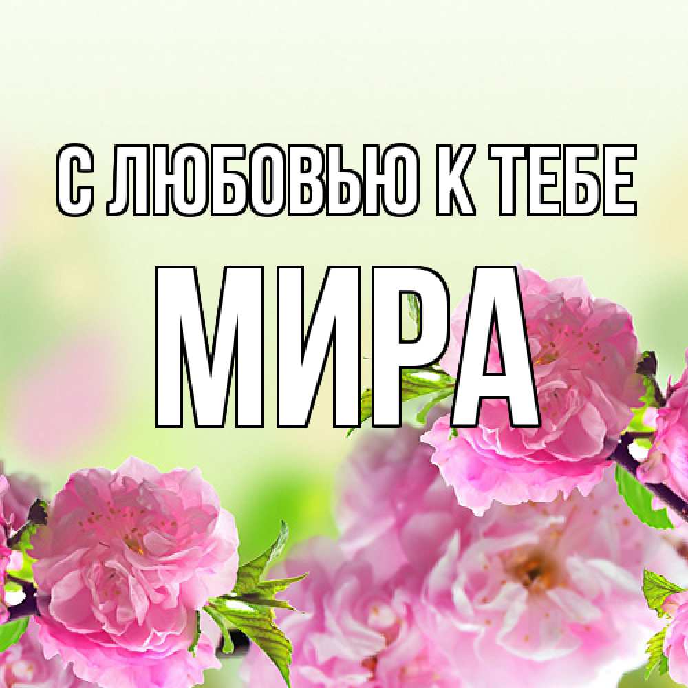 Открытка  с именем. Мира, С любовью к тебе  