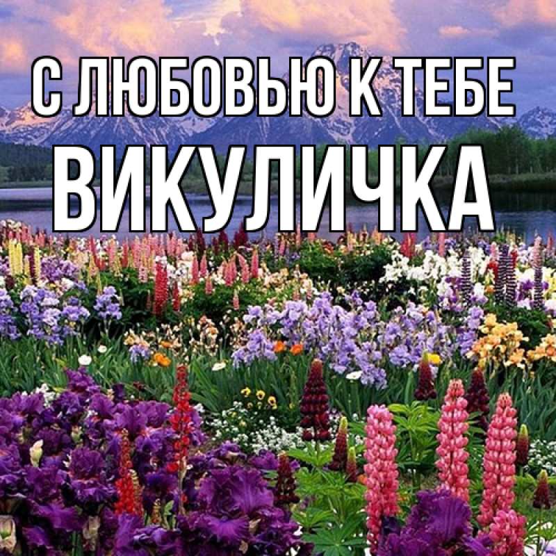 Картинка С любовью к тебе, Викуличка