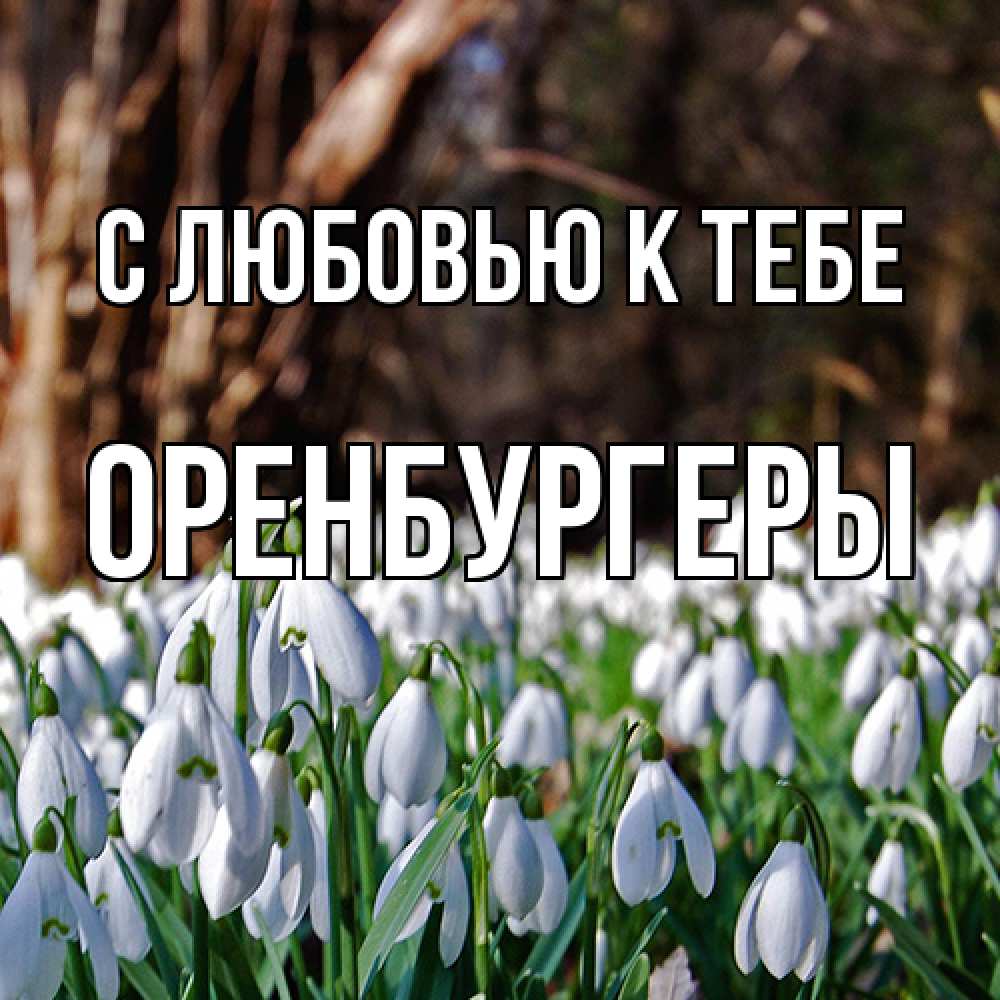 Открытка  с именем. Оренбургеры, С любовью к тебе  