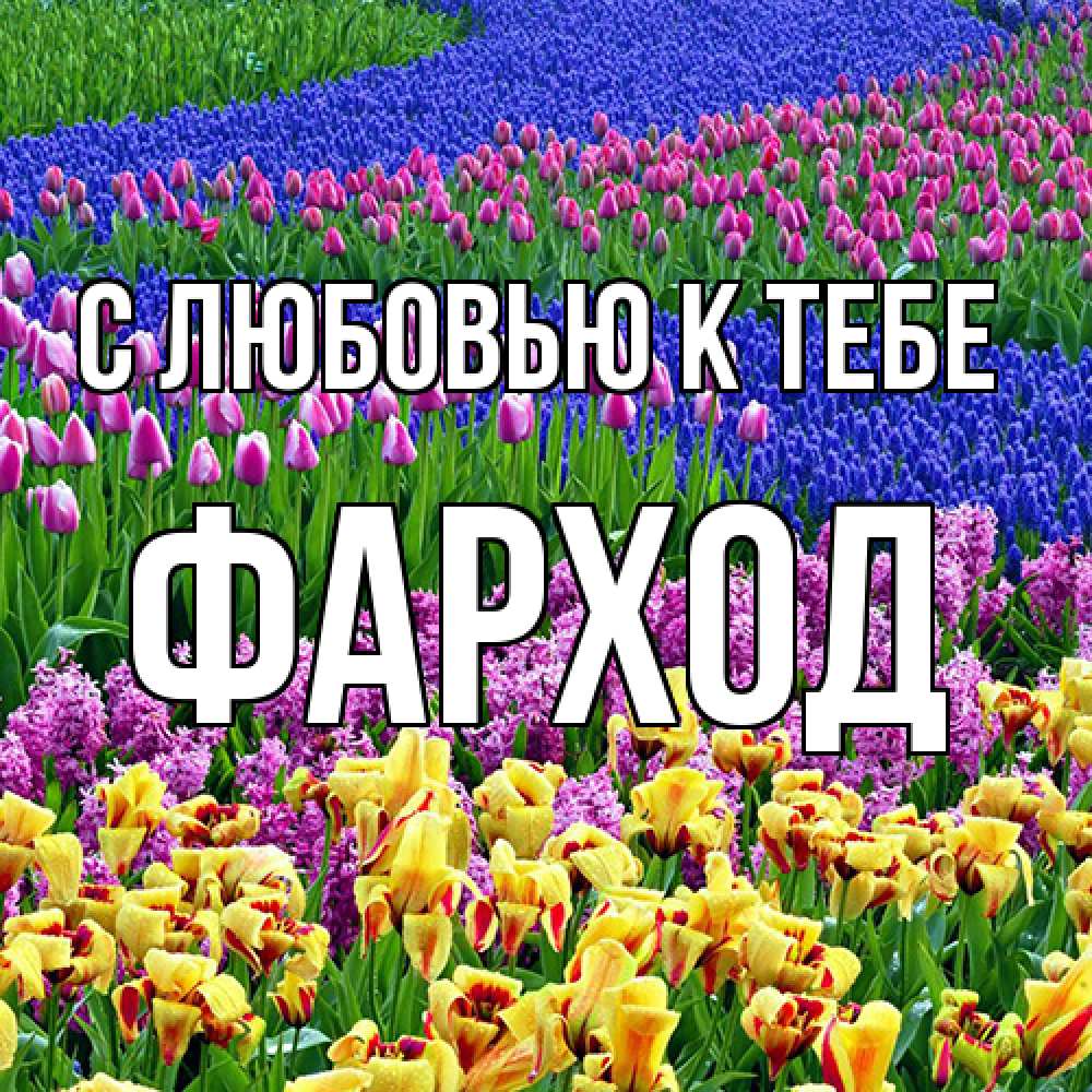 Открытка  с именем. Фарход, С любовью к тебе  