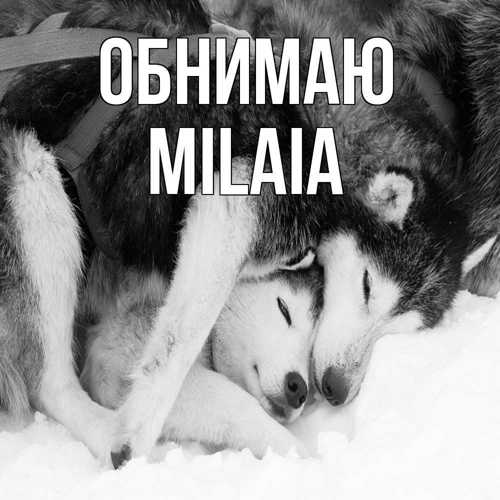 Открытка  с именем. MILAIA, Обнимаю  