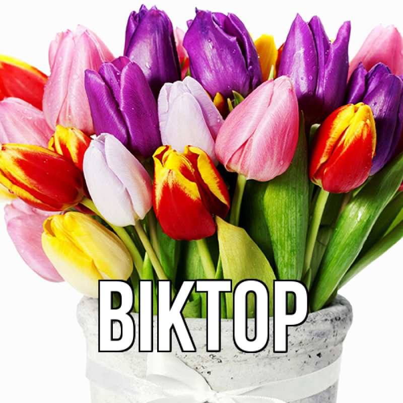 Картинка  с именем , Віктор