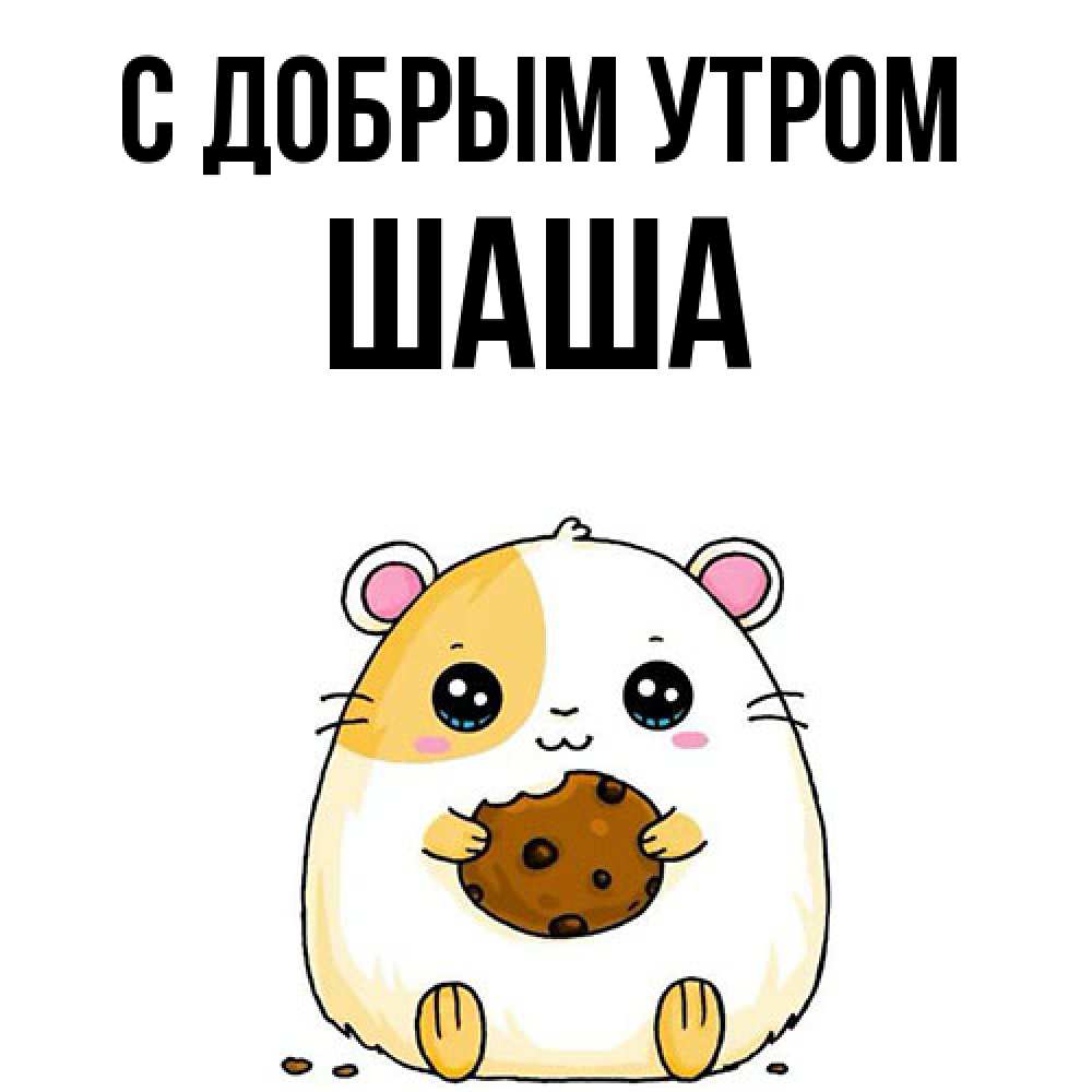 Открытка  с именем. Шаша, С добрым утром  