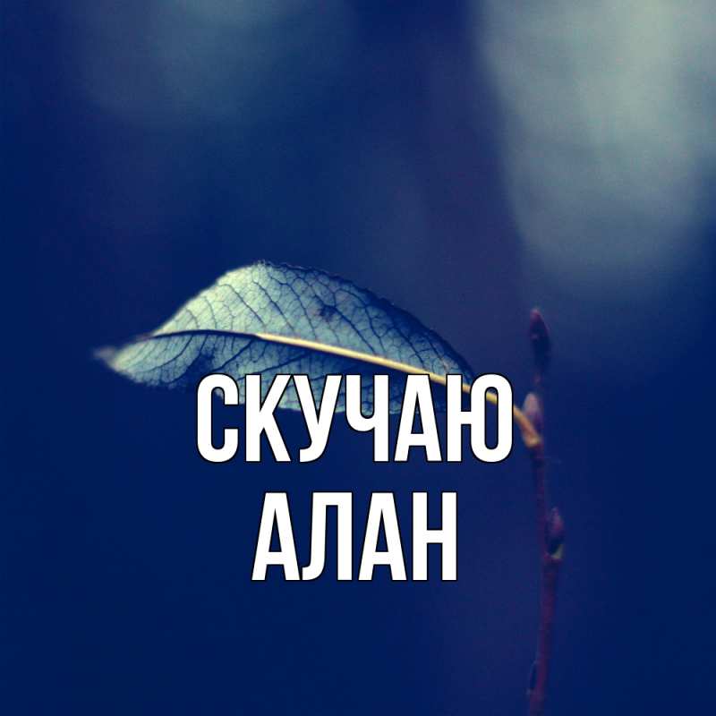 Картинка Скучаю, Алан