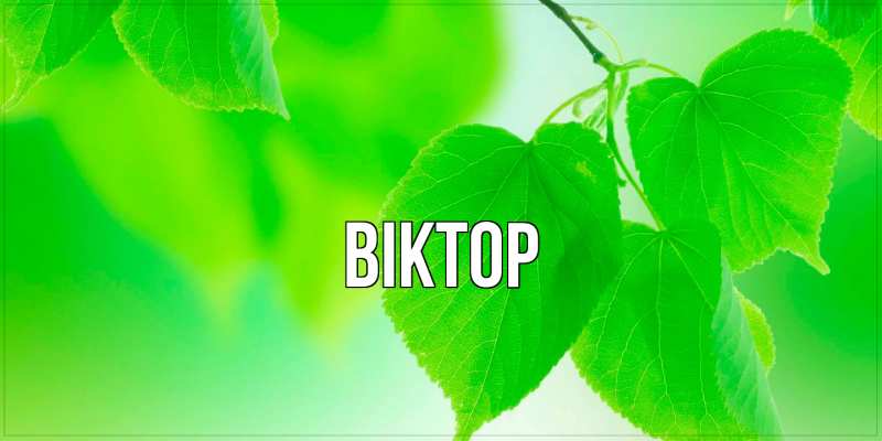 Картинка  с именем , Віктор