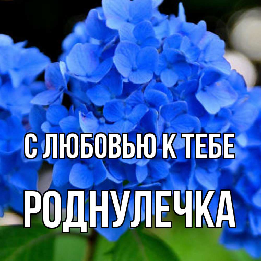Открытка  с именем. Роднулечка, С любовью к тебе  