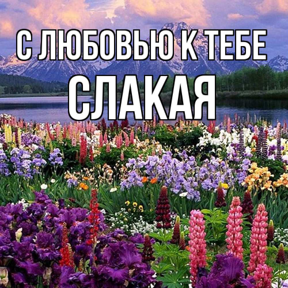 Открытка  с именем. Слакая, С любовью к тебе  