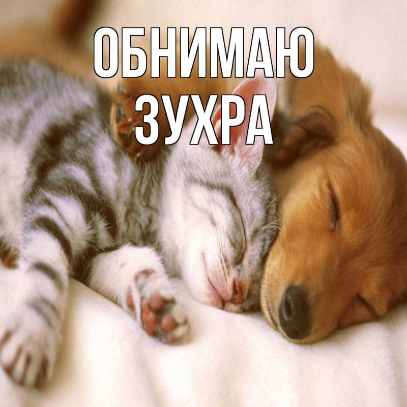 Картинка Обнимаю, Зухра