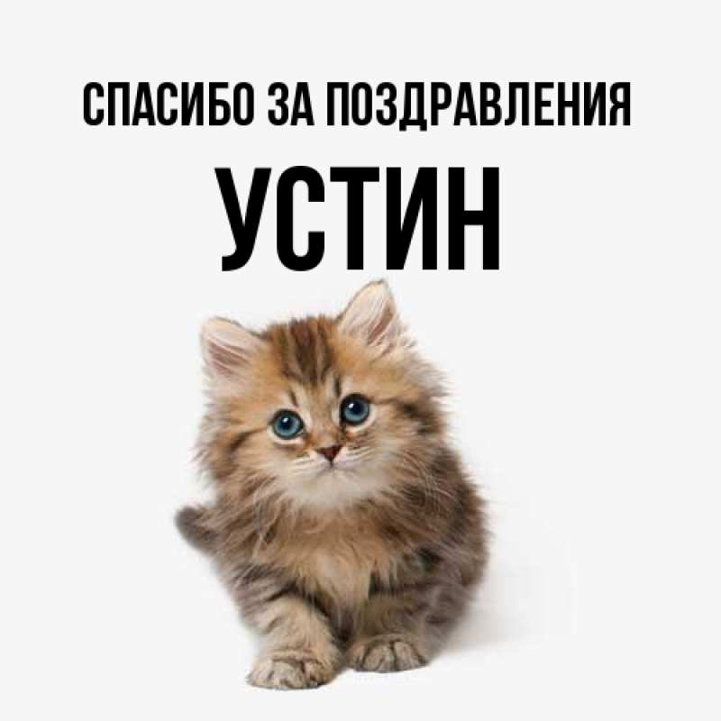 Картинка Спасибо за поздравления, Устин
