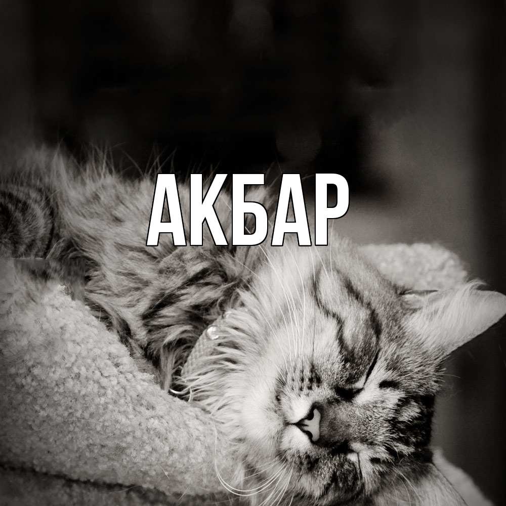 Открытка  с именем. Акбар, Главная  